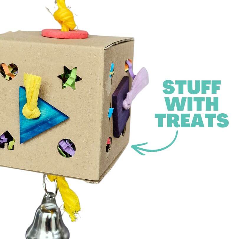 Bird Naturals Party Box