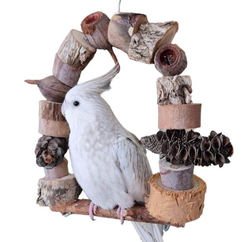 Birdnerd Natural Swing Queenslander Aviaries