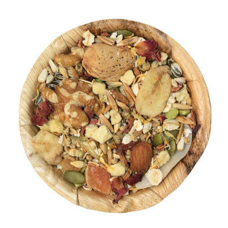 Raw for Birds South American Large Parrot Seed Blend