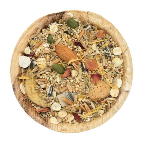 Raw for Birds South American Small Parrot Seed Blend