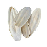 Breeders Delight Natural Cuttlebone 250g