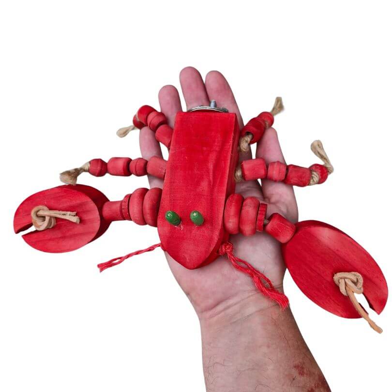 CJ The Lobster