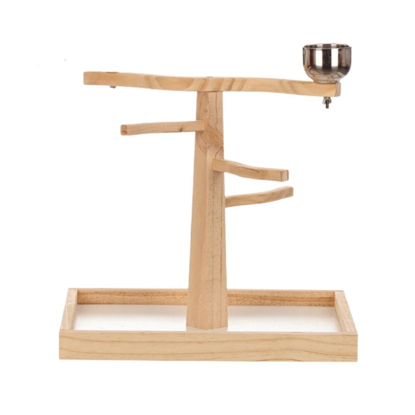 Play and Snack Parrot Gym