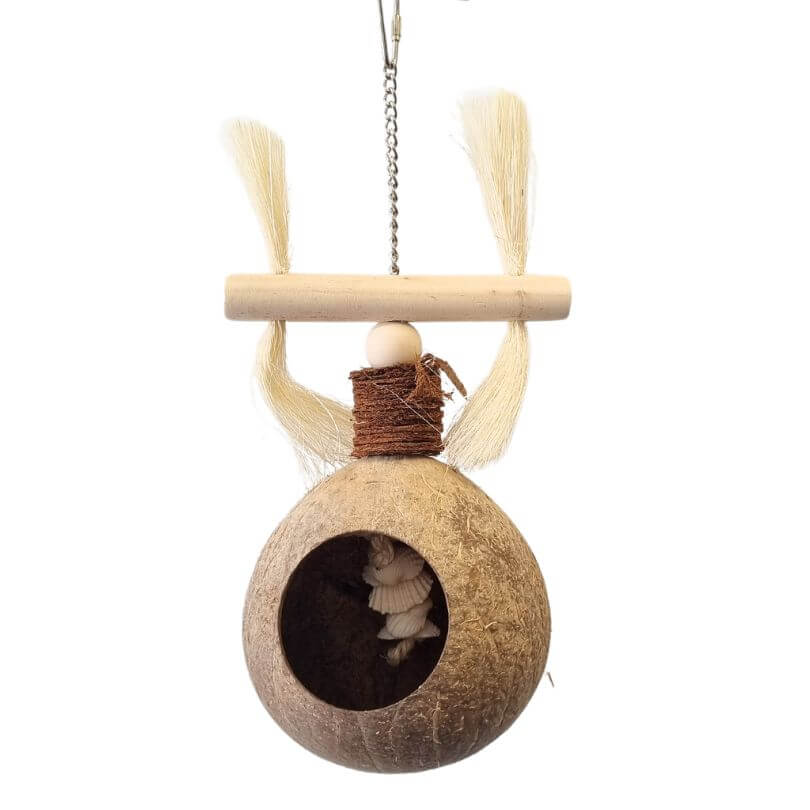 Coconut Treasure Hunt