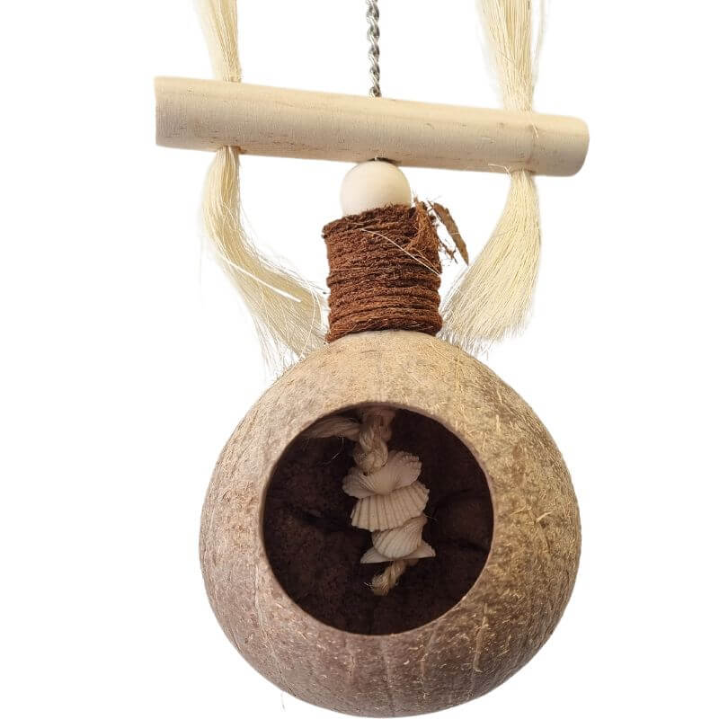 Coconut Treasure Hunt