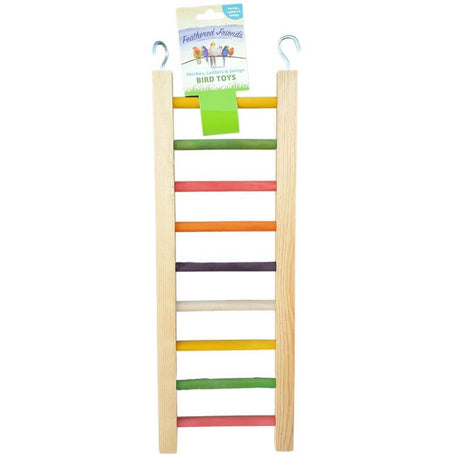 Giant Rainbow Ladders