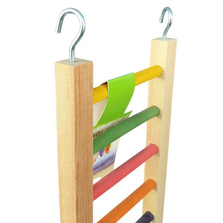 Giant Rainbow Ladders