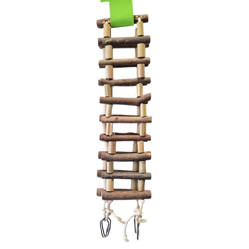 Suspension Ladder