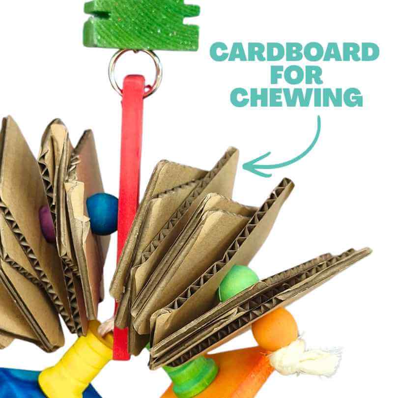 Cardboard Accordion Chewer
