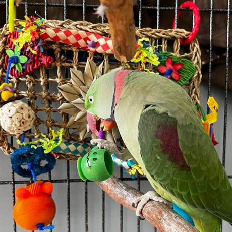 Carnival Rectangle Play Wall