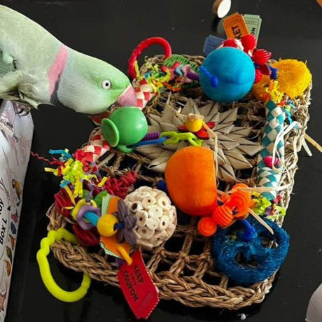 Carnival Rectangle Play Wall