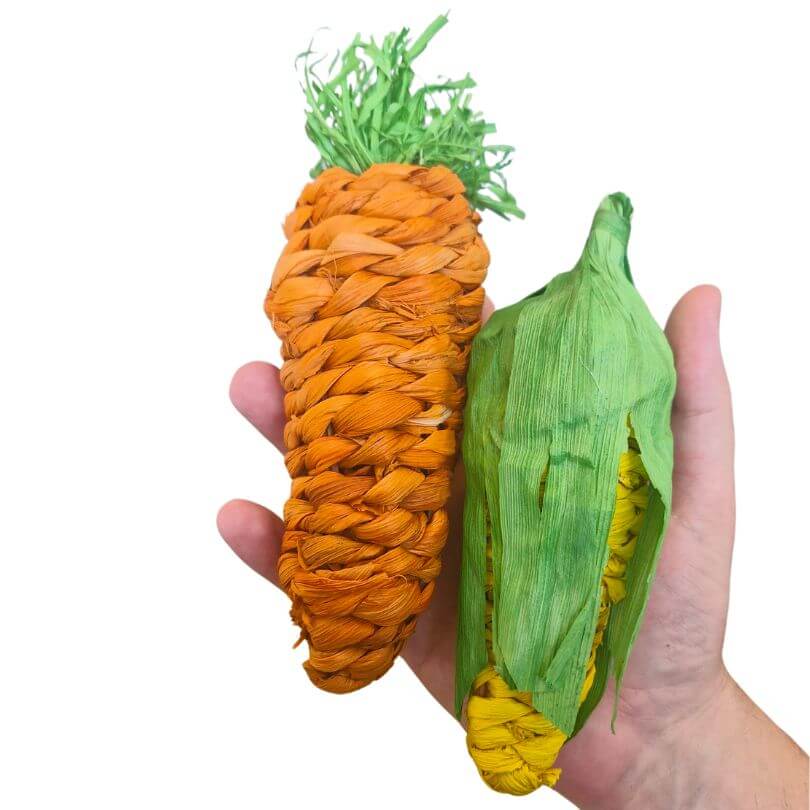 Carrot and Corn Munch Foot Toys 2pk