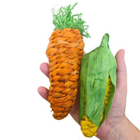 Thumbnail for Carrot and Corn Munch Foot Toys 2pk