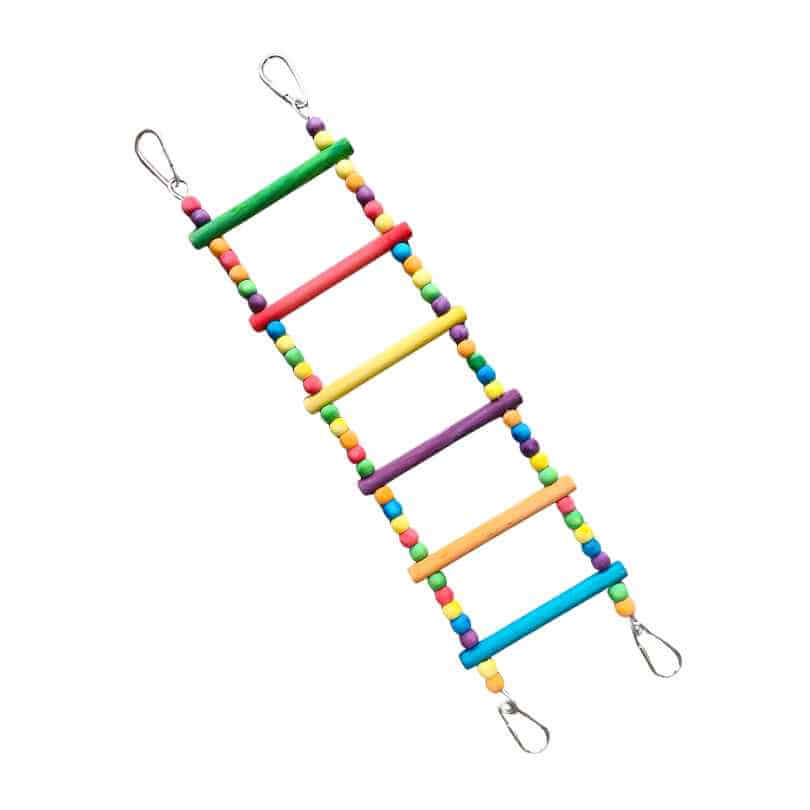 Cheeky Bird Rainbow Ladder