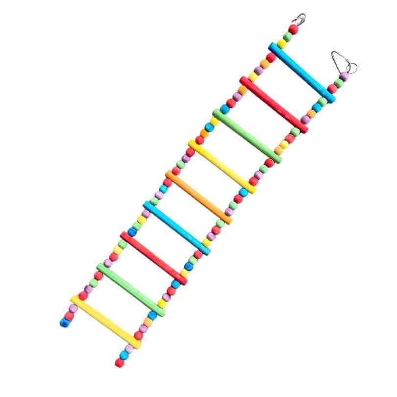 Cheeky Bird Rainbow Ladder