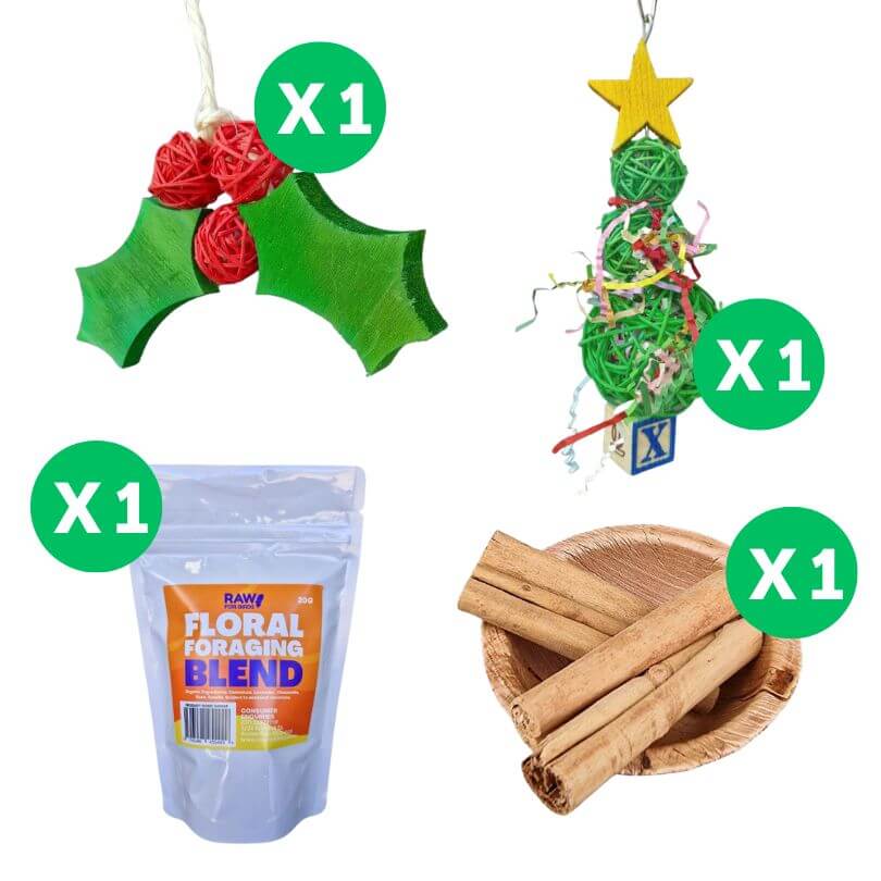 Christmas Small Bird Gift Bundle