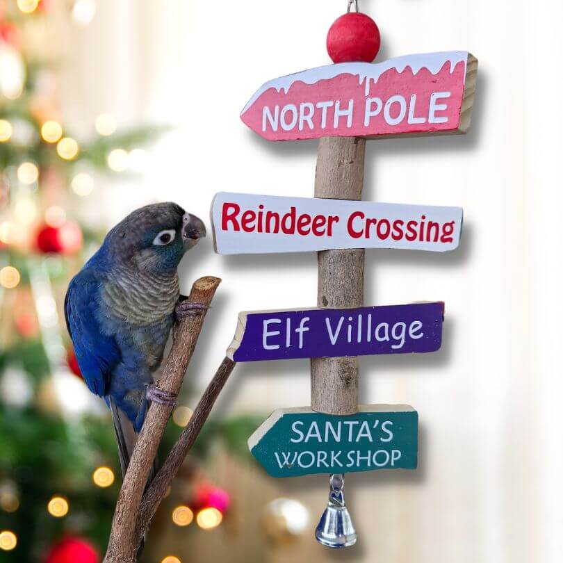 Christmas Village Sign Post Chew