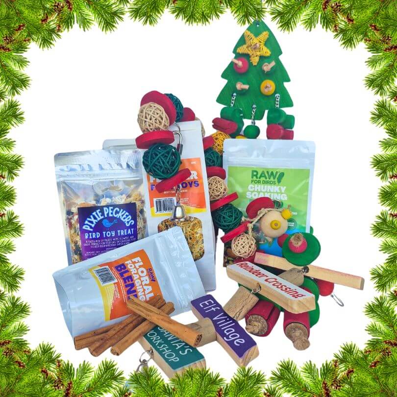 Christmas Large Bird Gift Bundle