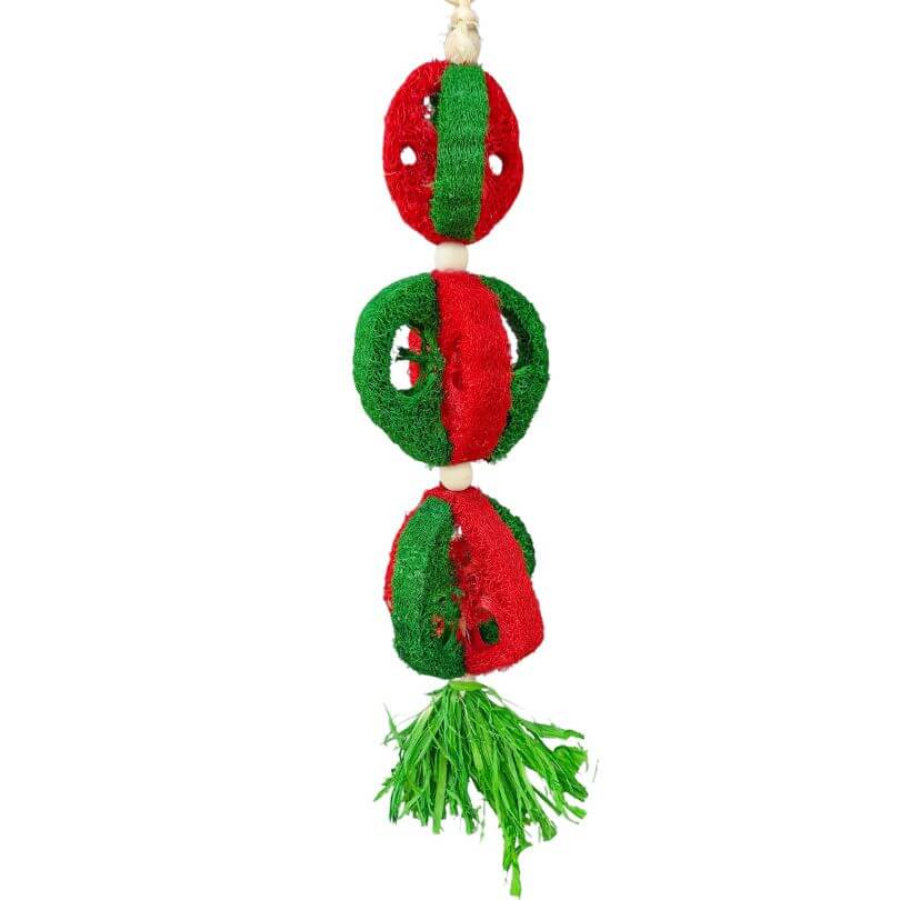 Christmas Loofa Garland