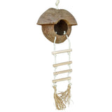 Coconut Hut and Ladder
