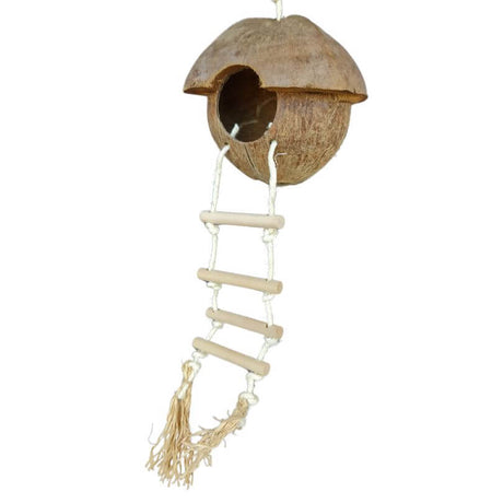 Coconut Hut and Ladder