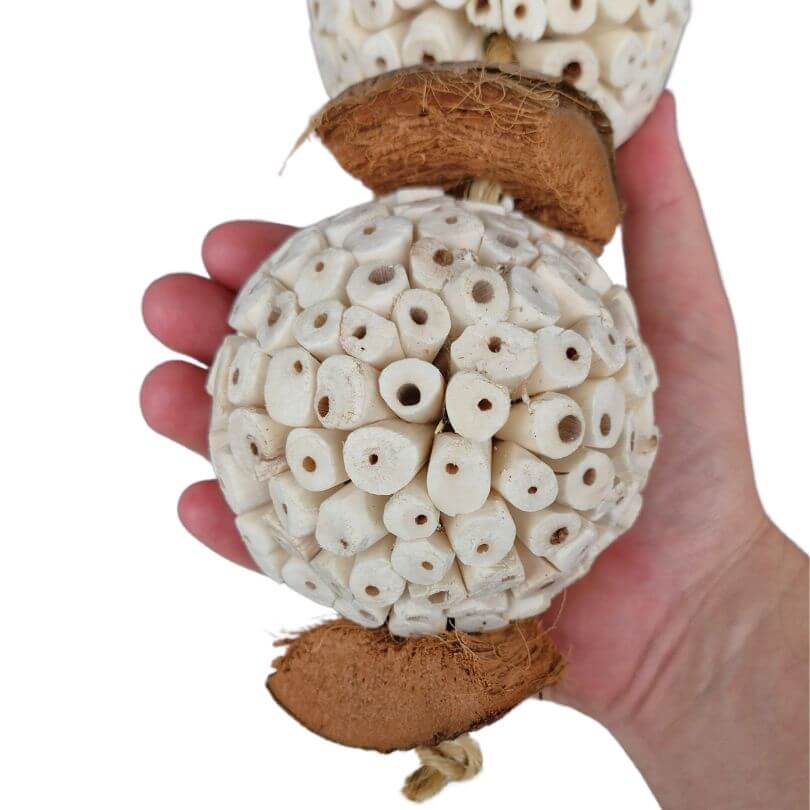 Coconut Sola Kabob