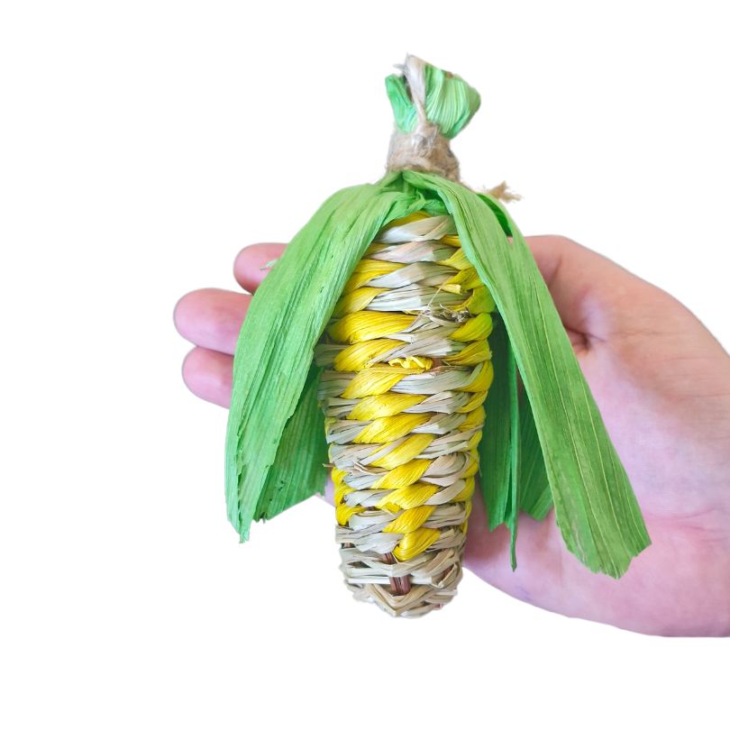 Corn Cob Foot Toy