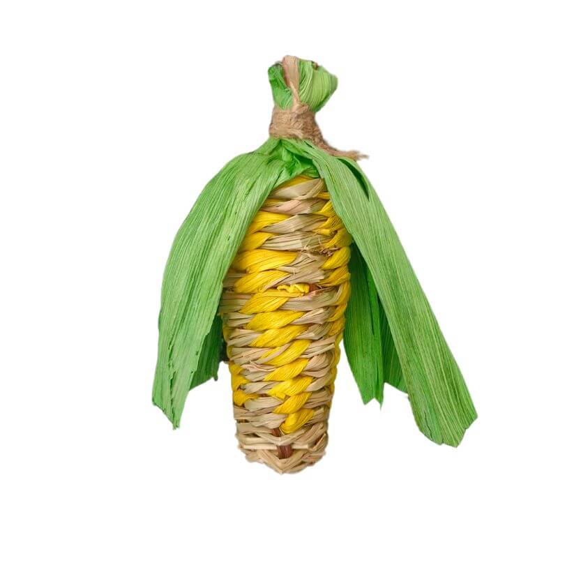 Corn Cob Foot Toy