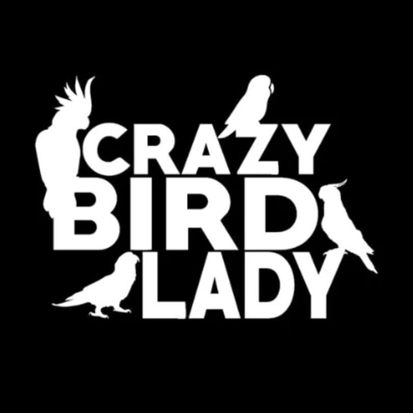 Crazy Bird Lady Window Decal