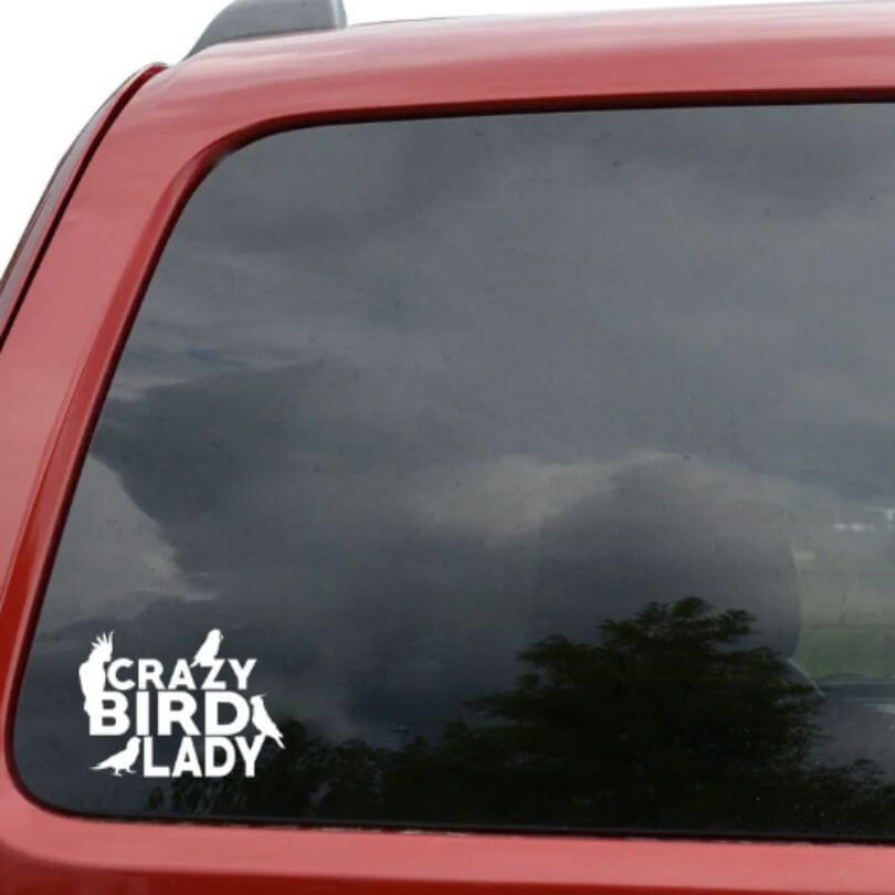 Crazy Bird Lady Window Decal