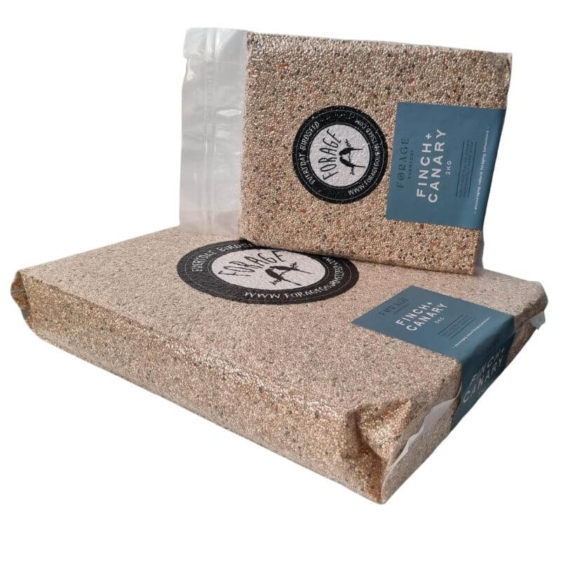 Forage Everyday Canary and Finch Blend