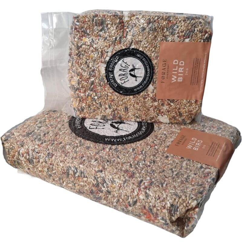 Forage Everyday Wild Bird Blend