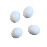 Fake Cockatiel Egg 4pk