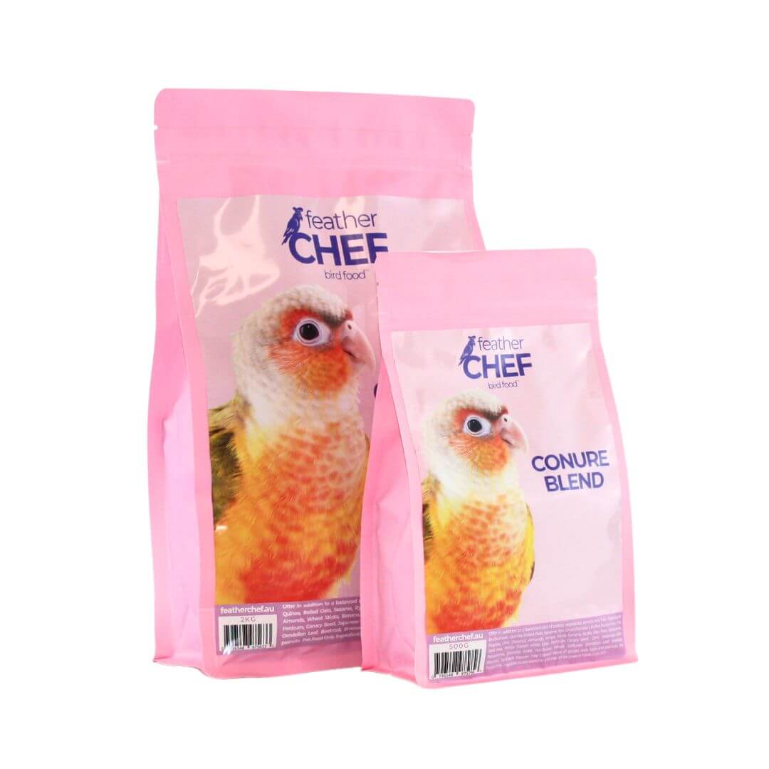 Feather Chef Conure Blend