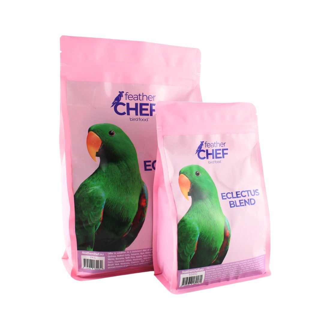 Feather Chef Eclectus Blend