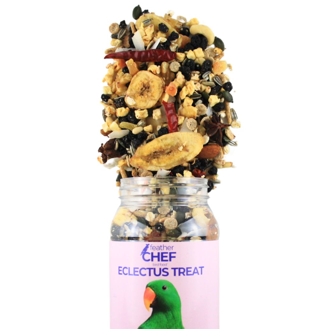 Feather Chef Eclectus Treat 350g