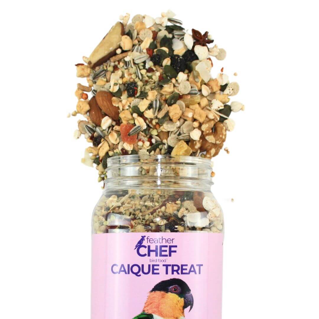 Feather Chef Caique Treat 350g