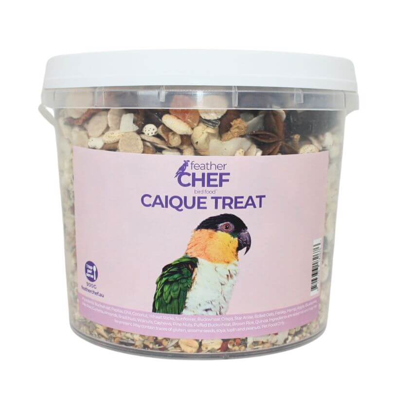 Feather Chef Caique Treat