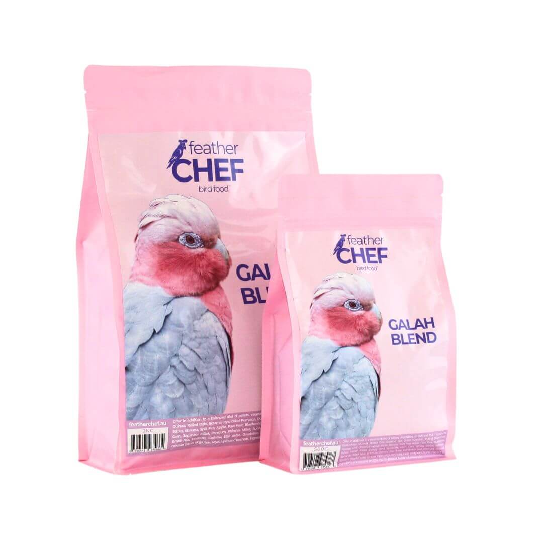 Feather Chef Galah Blend