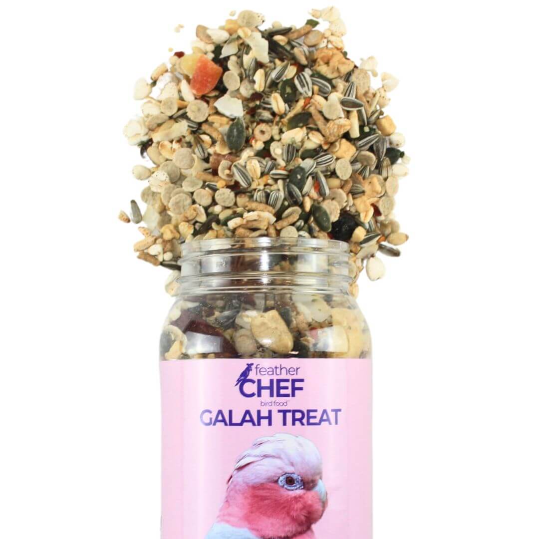 Feather Chef Galah Treat 350g