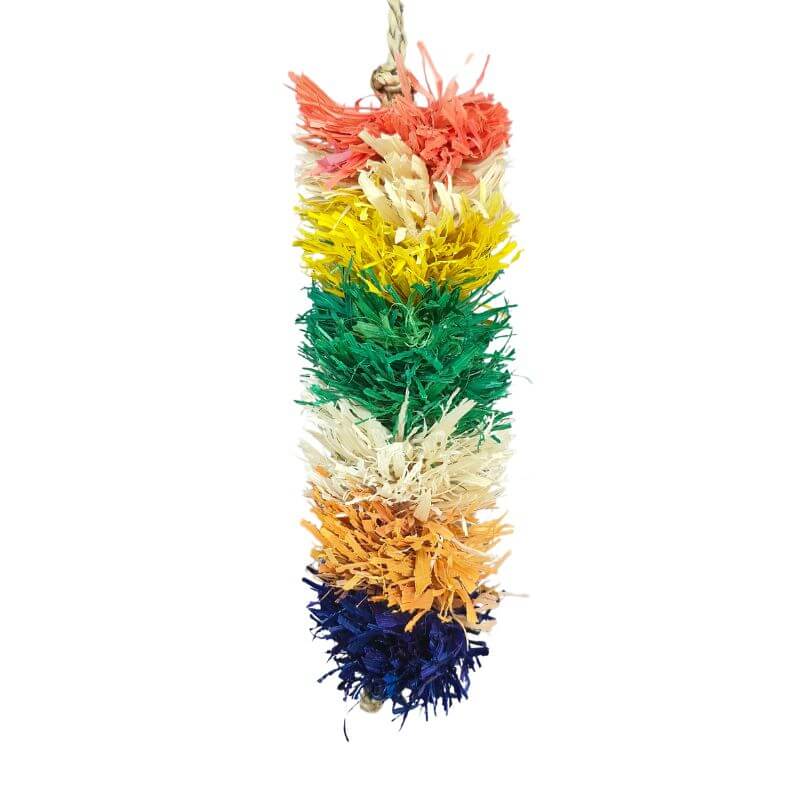 Fiesta Bottlebrush