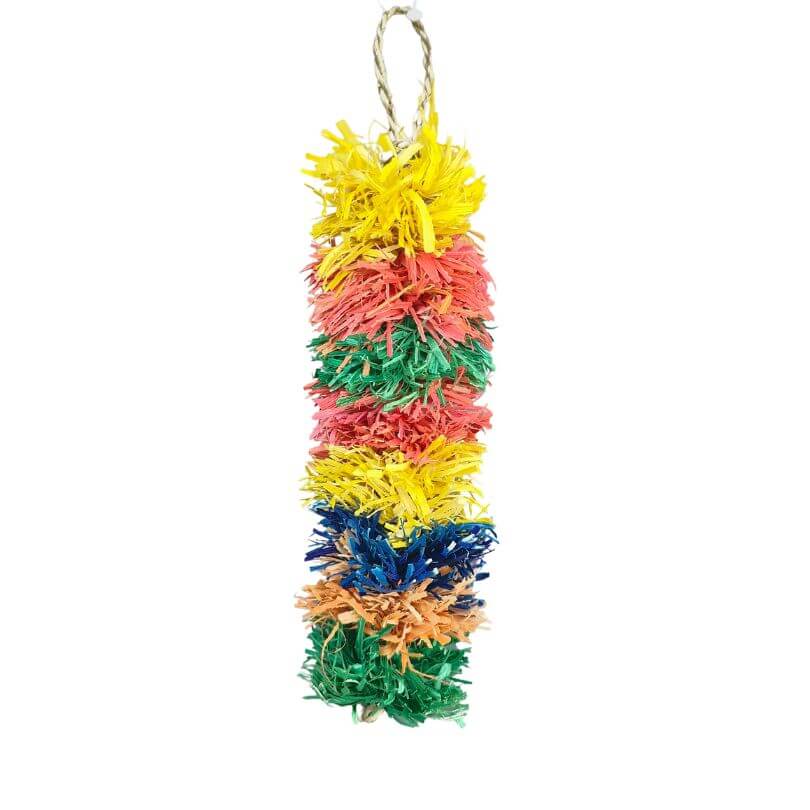 Fiesta Bottlebrush