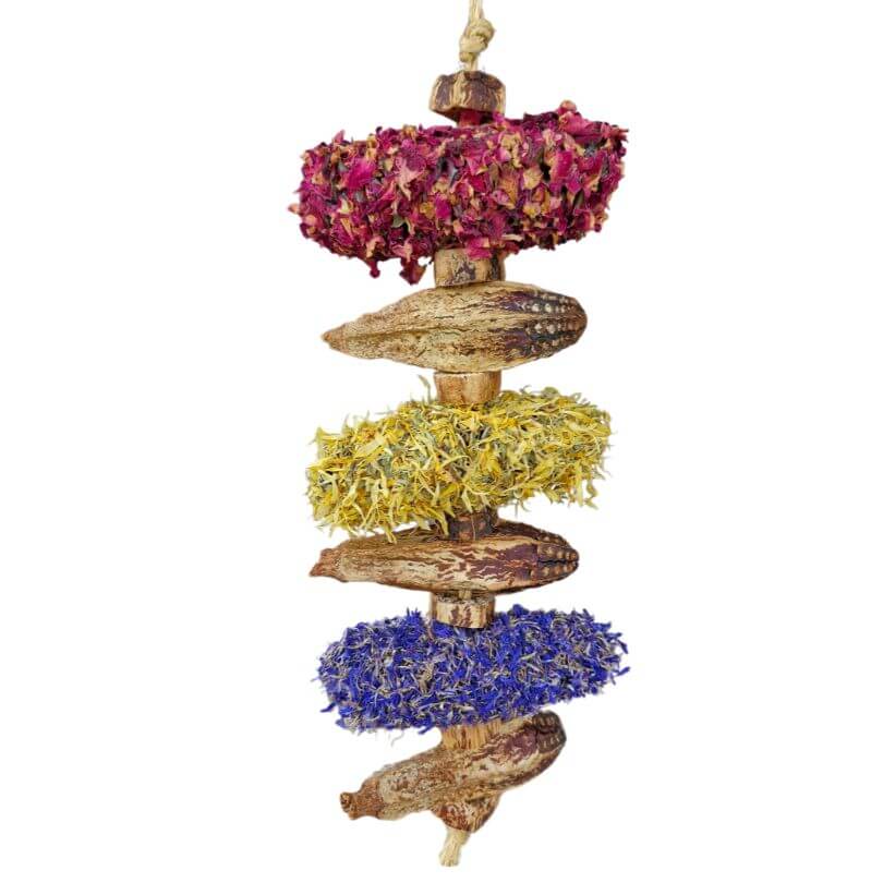 Raw for Birds Floral Banksia Kabob