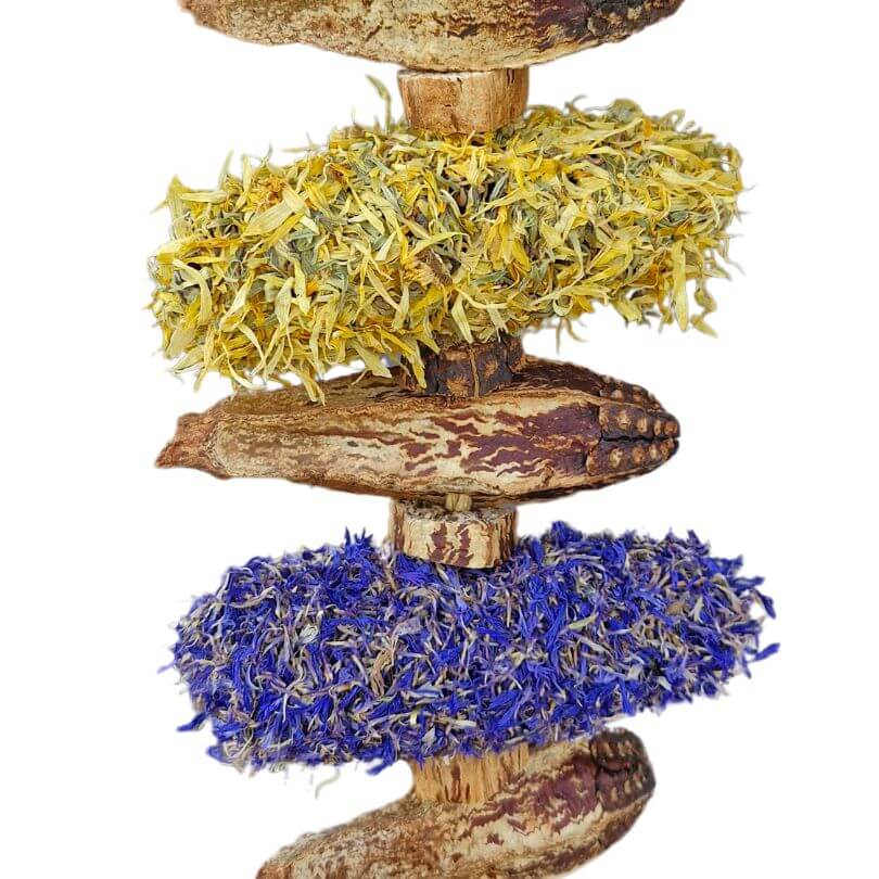 Raw for Birds Floral Banksia Kabob