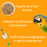 Raw for Birds Floral Foraging Blend 20g