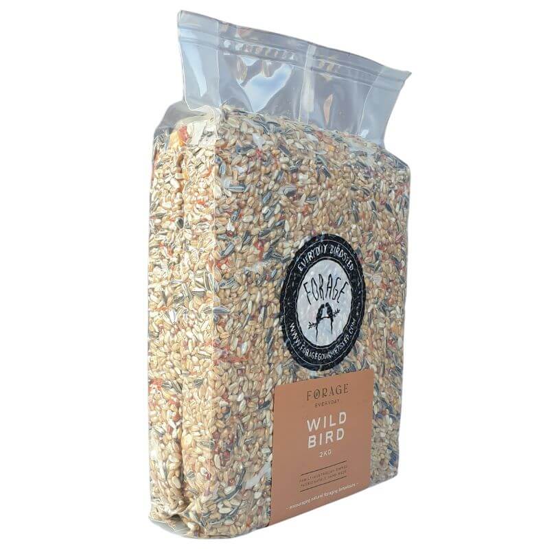 Forage Everyday Wild Bird Blend