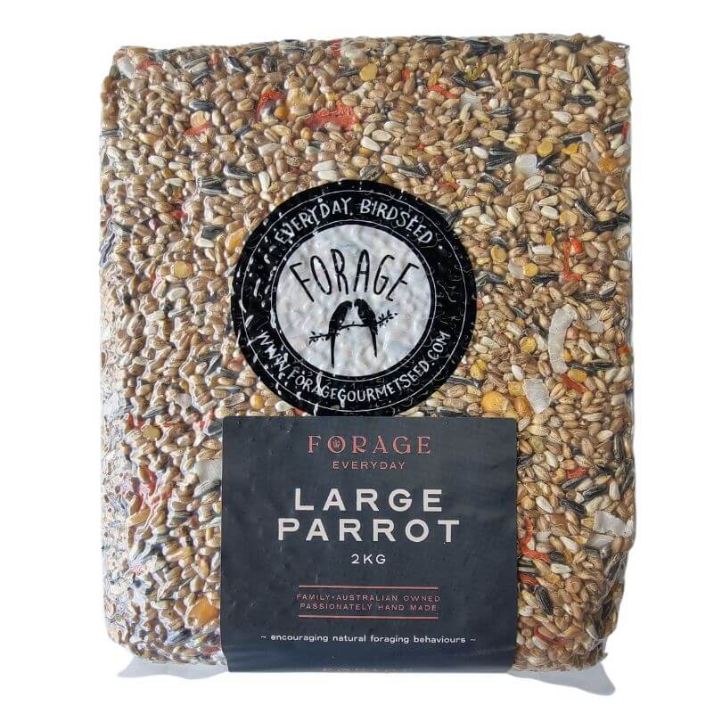 Forage Everyday Large Parrot Blend
