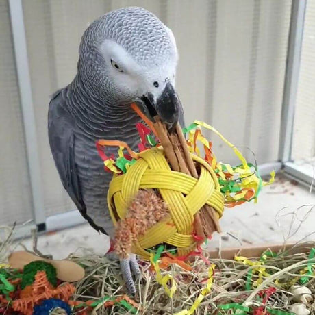 Foraging Ball Foot Toy