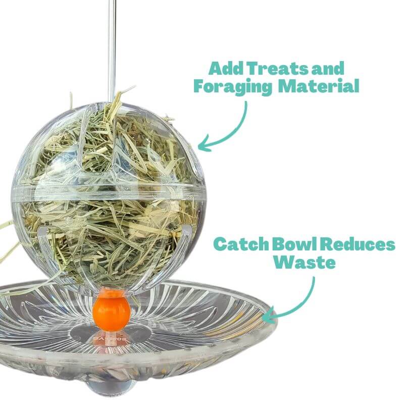 Foraging Buffet Ball and Catch Bowl