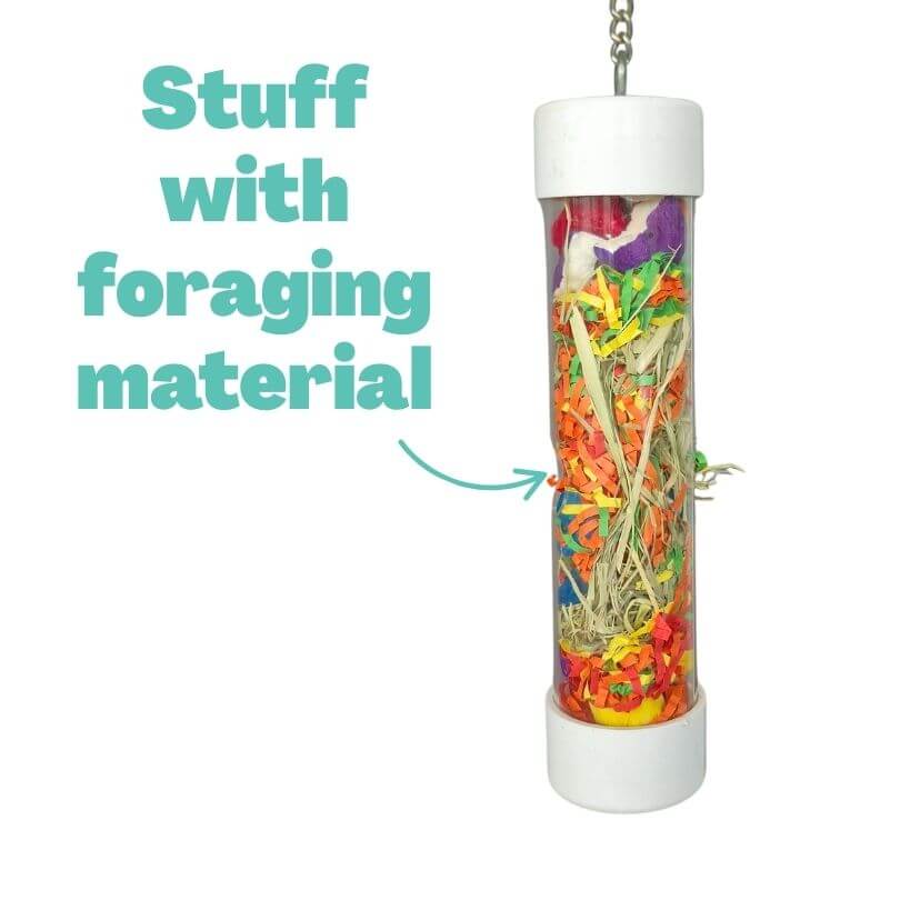 Foraging Tube